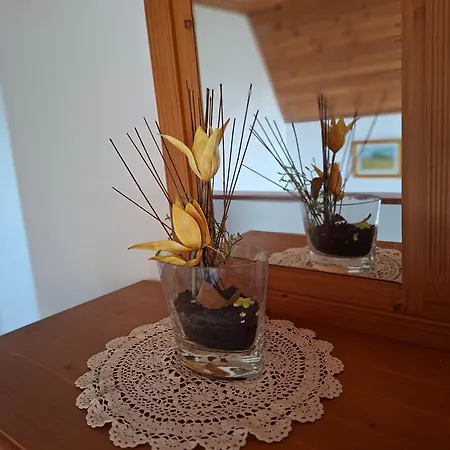 Apartmán Szepkilato 2 Medencevel Es Kilatassal *